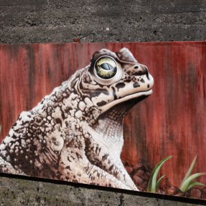 Kunst im LaPaDu...... Sabine Schröder